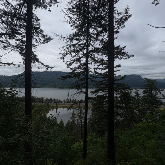 danniellecamp